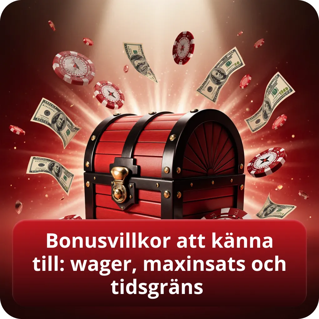 Viktiga bonusvillkor att känna till: wager, maxinsats och tidsgräns