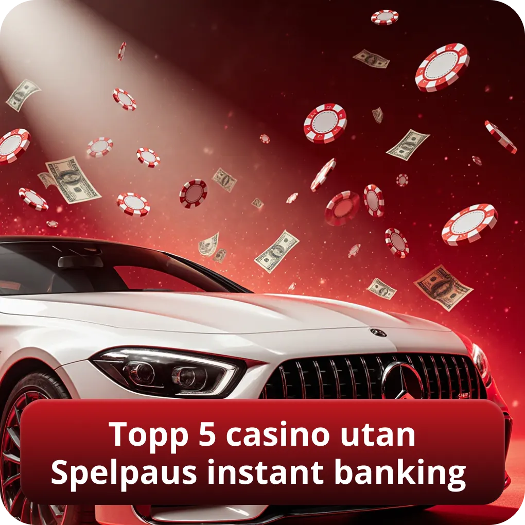 Topp 5 casinon utan Spelpaus med instant banking